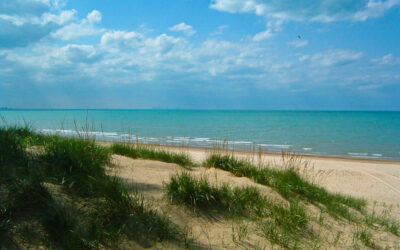 The Absolute Best Time to Visit Miller Beach