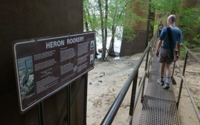 8 Best Hiking Trails at Indiana Dunes