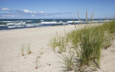 5 Best Beaches in Miller Beach